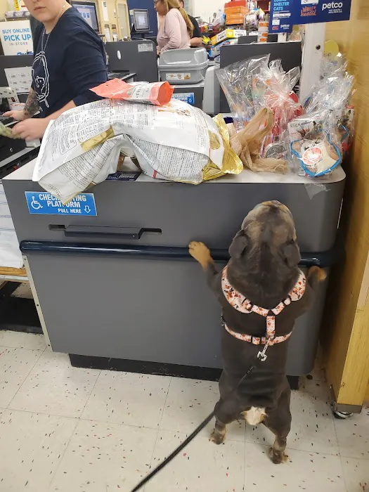 Petco 12
