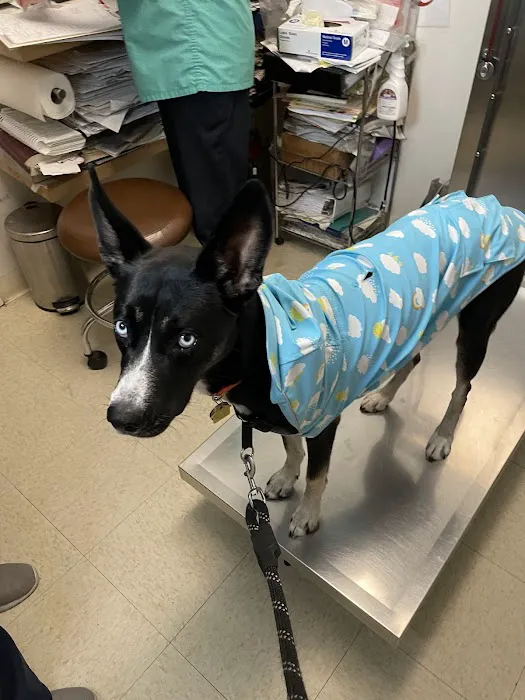 Columbus Circle Veterinary Hospital 1