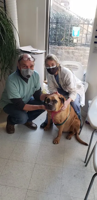 Columbus Circle Veterinary Hospital 2