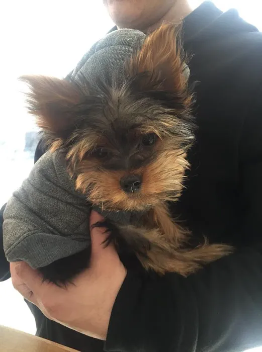 Columbus Circle Veterinary Hospital 8