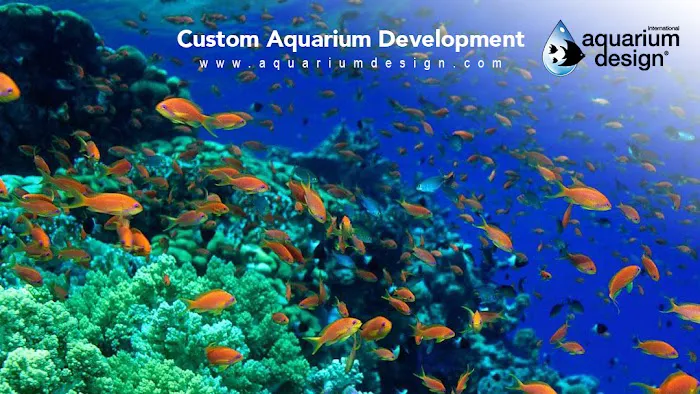 Aquarium Design International 9