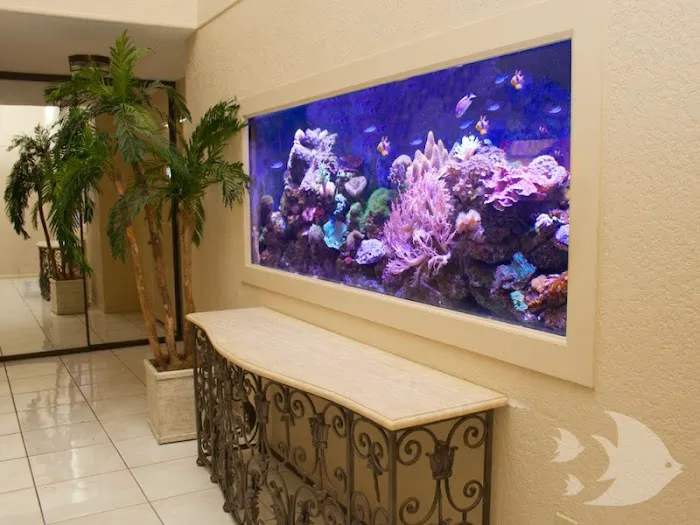 Aquarium Design International 4