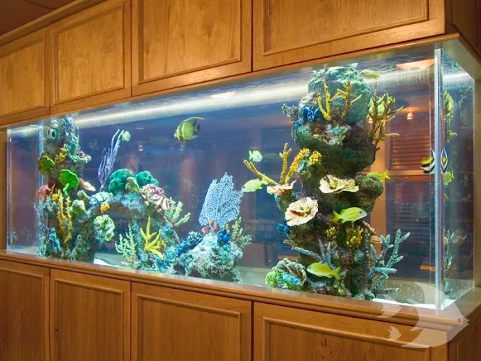 Aquarium Design International 8