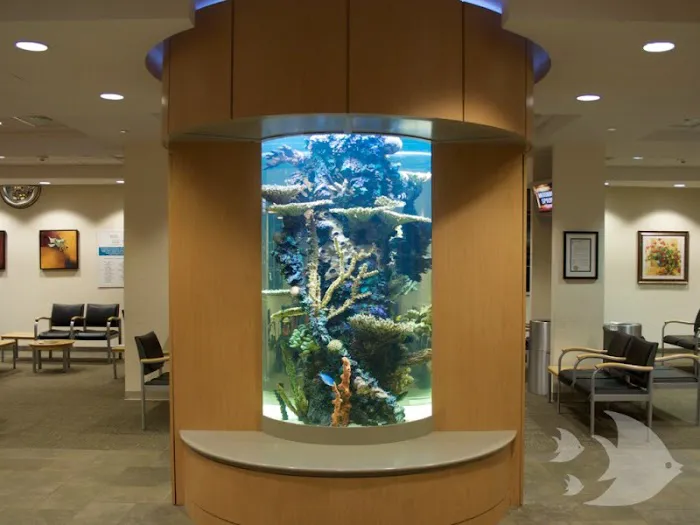 Aquarium Design International 6