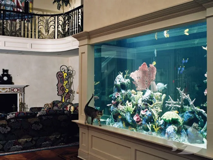 Aquarium Design International 1