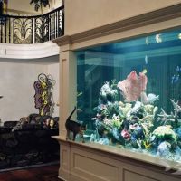 Aquarium Design International ico