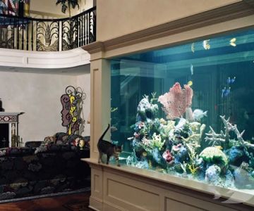 Aquarium Design International