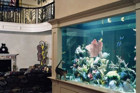 Aquarium Design International