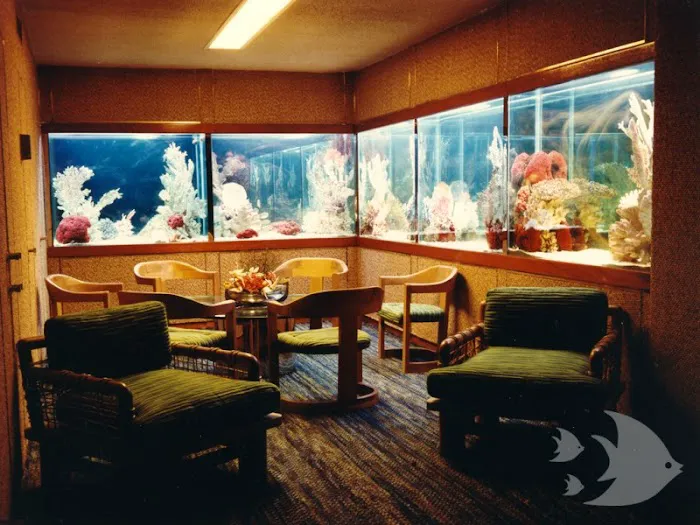 Aquarium Design International 10