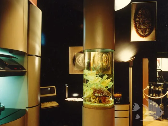 Aquarium Design International 5