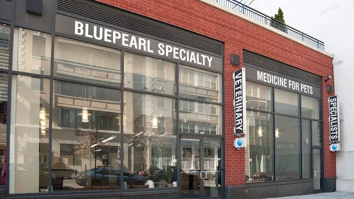 BluePearl Pet Hospital 4