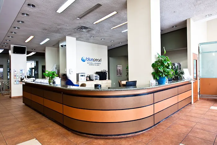 BluePearl Pet Hospital 9