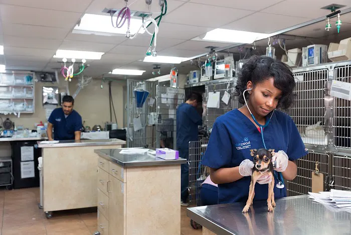 BluePearl Pet Hospital 5