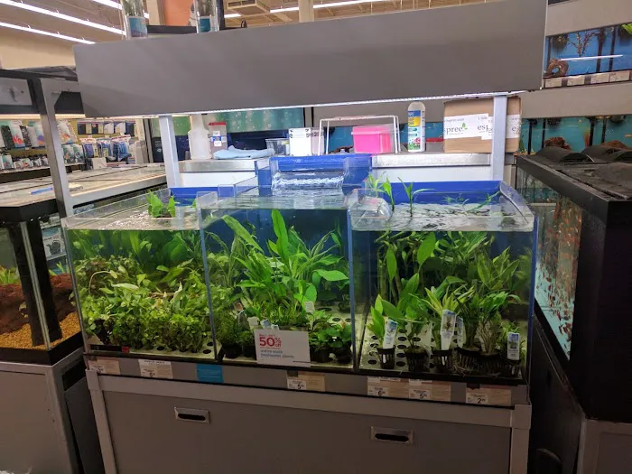 Petco 12