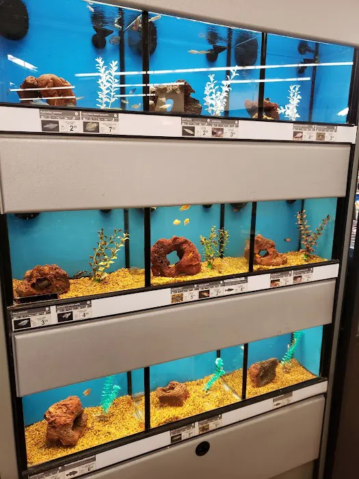 Petco 12