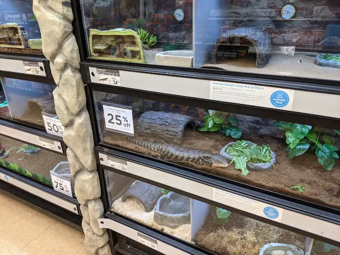 Petco 12