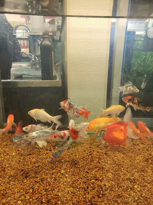 Petco 12