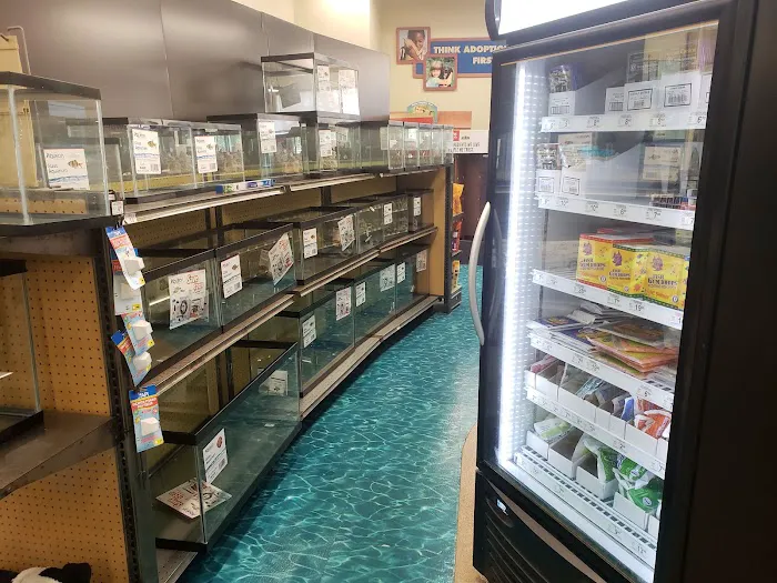 Petco 12