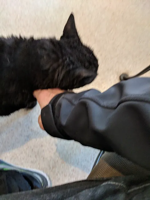 Clinton Veterinary Center 7
