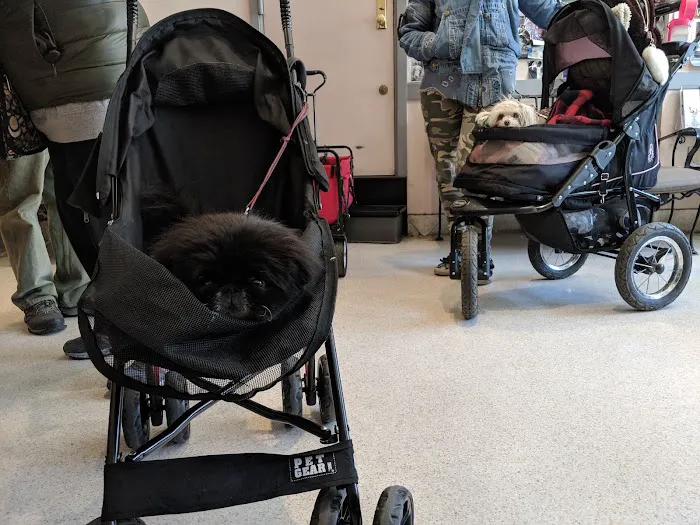Clinton Veterinary Center 10