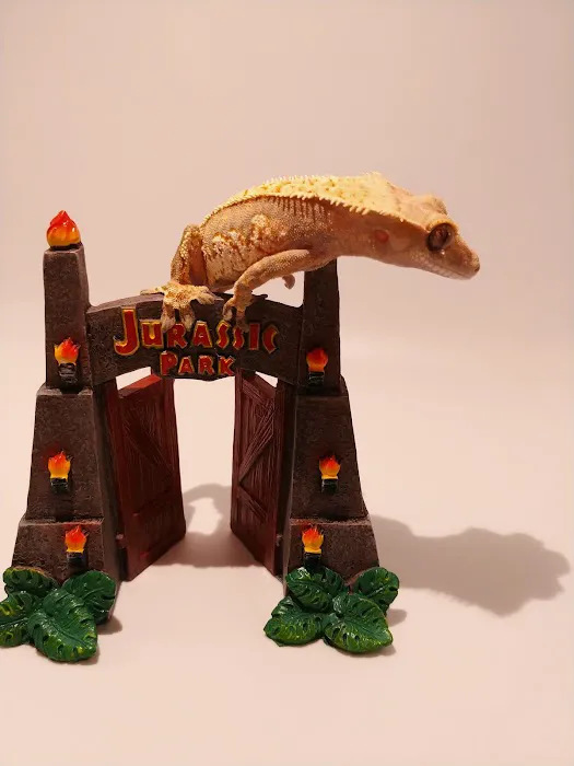 Snakes Farm Stand 12