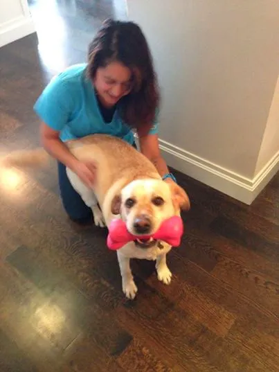 VetCierge Veterinary House Calls 2