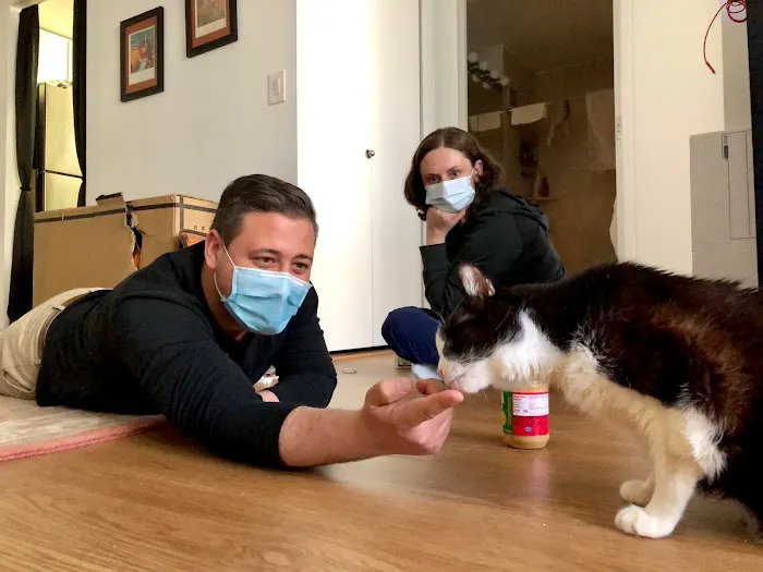 VetCierge Veterinary House Calls 6