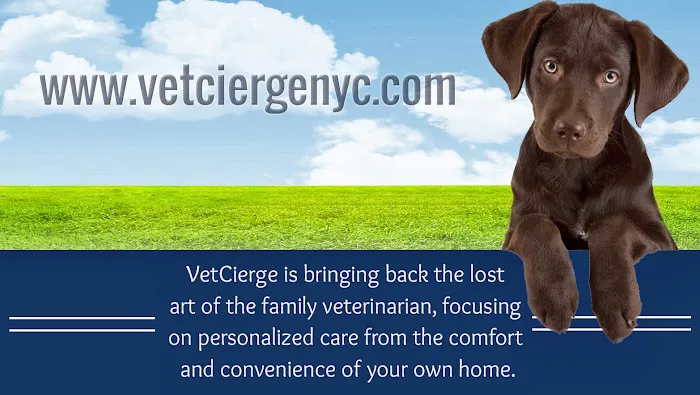 VetCierge Veterinary House Calls 4