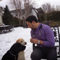 VetCierge Veterinary House Calls ico