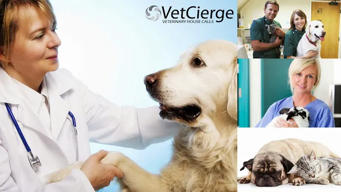 VetCierge Veterinary House Calls 8