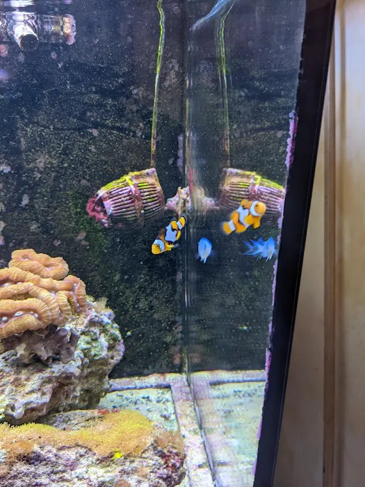 Coral Sea Aquariums 12