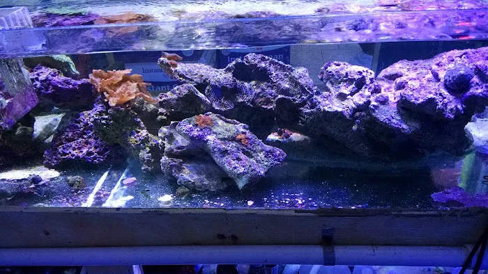 Coral Sea Aquariums 12