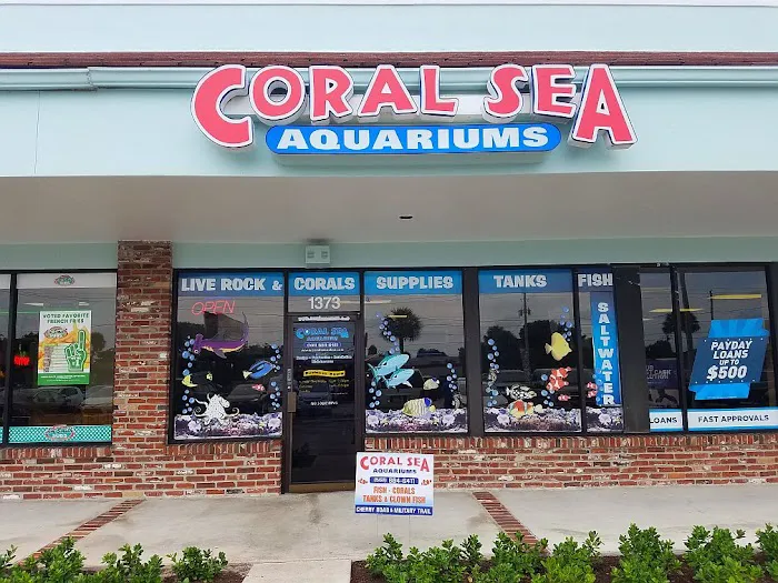 Coral Sea Aquariums 12