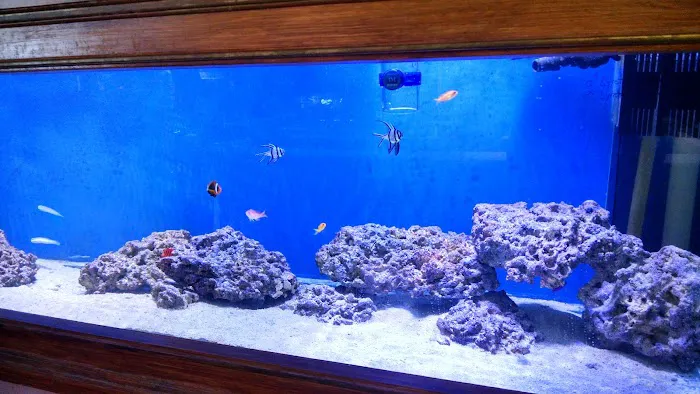 Coral Sea Aquariums 12