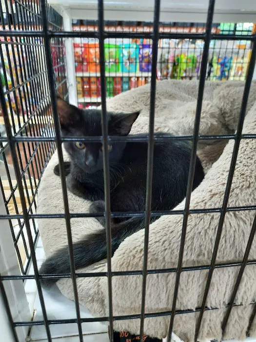 Pet Supermarket 12