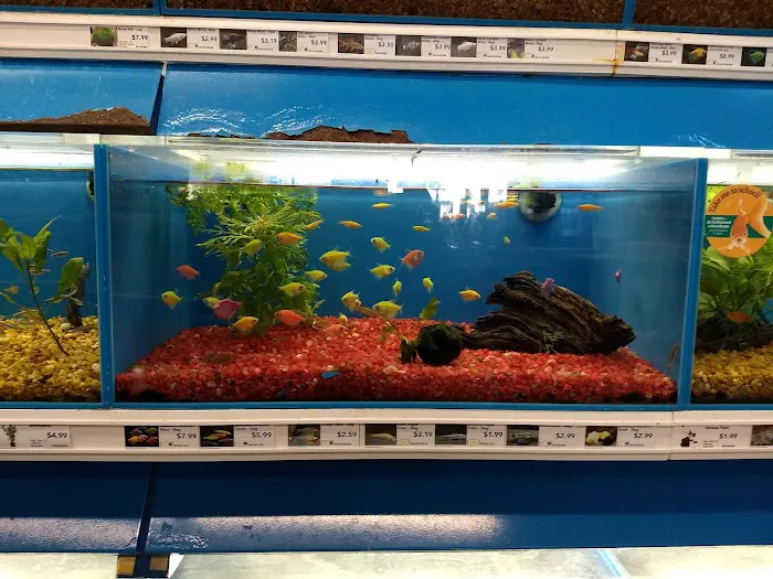 Pet Supermarket 12