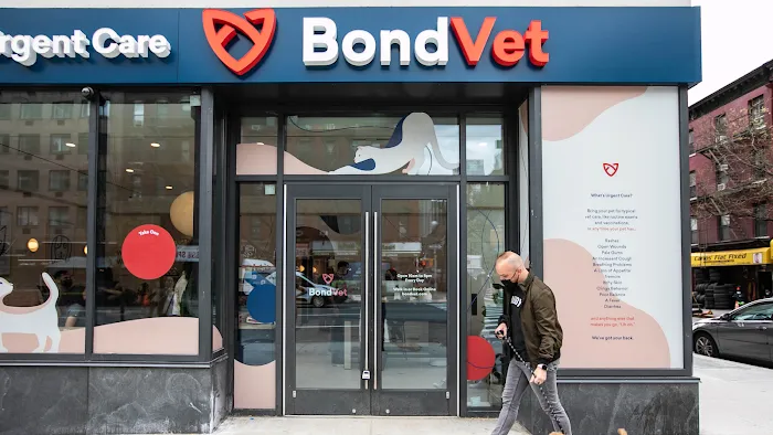 Bond Vet - Hell's Kitchen 9