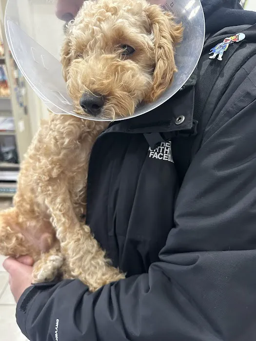 Westside Animal Hospital 6