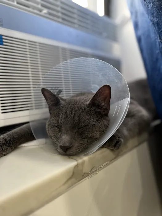 Westside Animal Hospital 1