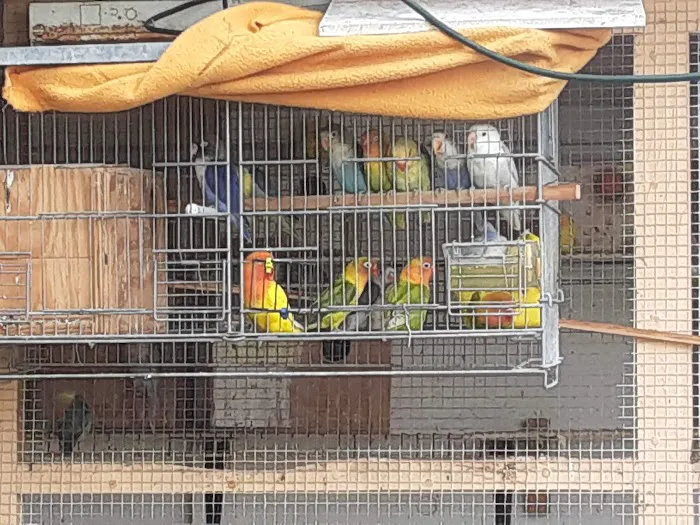 Palenzuela Feed Pet Store 12