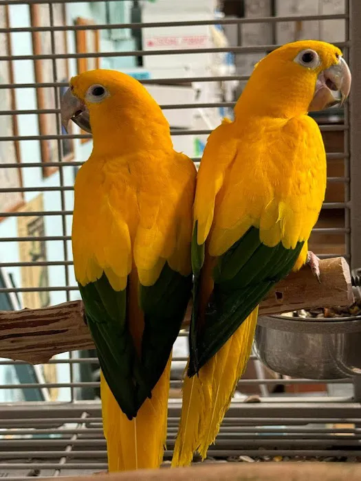 Palenzuela Feed Pet Store 12