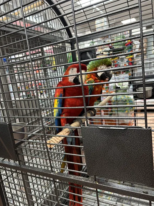 Palenzuela Feed Pet Store 12