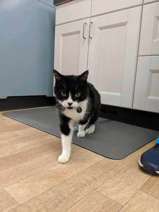 Alison Animal Hospital 12