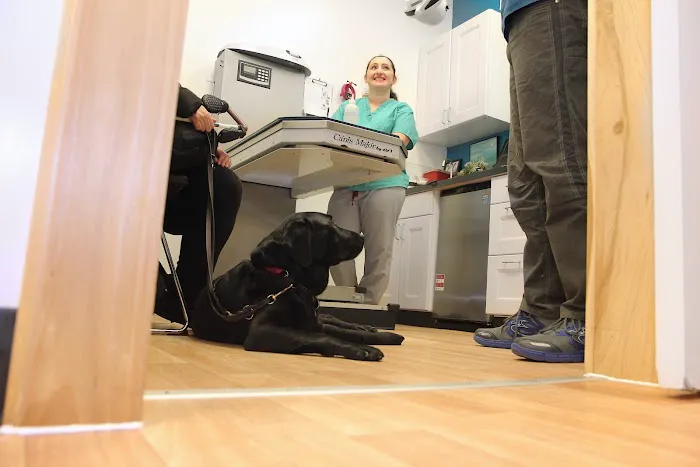 Alison Animal Hospital 12