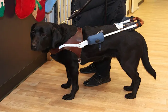 Alison Animal Hospital 12