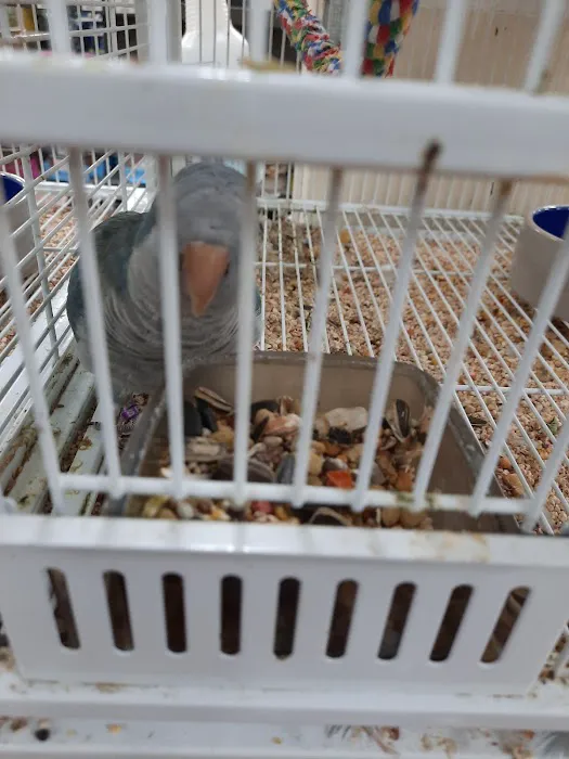 Pet Supermarket 12