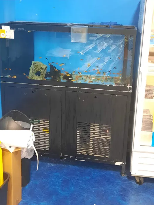 Pet Supermarket 12