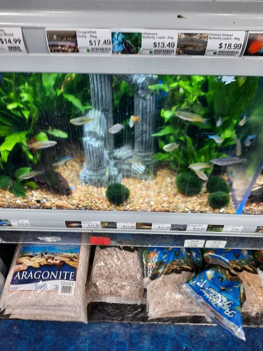 Pet Supermarket 12