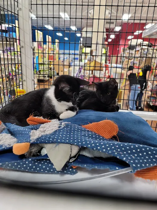 Pet Supermarket 12