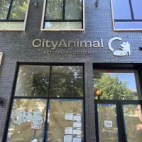 City Animal Veterinary Center ico